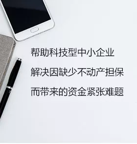 知识产权质押融资