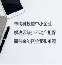 知识产权质押融资